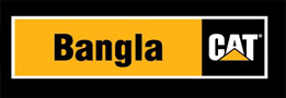Bangla Cat